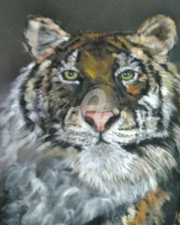 Peinture intitulée "Tigre" par Sol.Art, Œuvre d'art originale, Pastel Monté sur Carton