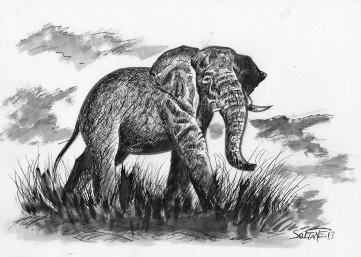 Drawing titled "Eléphant" by Hocine Soltane, Original Artwork, Ink