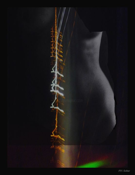 Peinture intitulée "nu-noir-suture-or" par Flo Soltar, Œuvre d'art originale, Autre