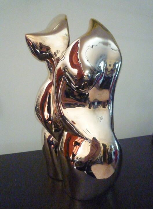 Sculpture titled "MIROIR DEFORMANT Br…" by Sonia Mandel, Original Artwork, Metals
