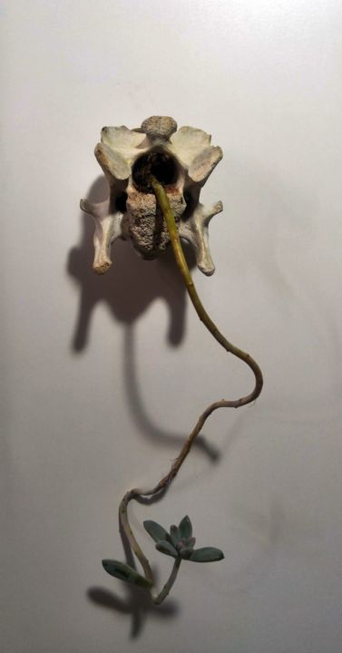 Skulptur mit dem Titel ""Vertedouro"" von Sonia Burgareli, Original-Kunstwerk