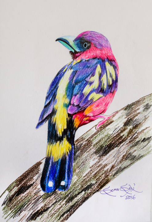 Dessin intitulée "Birds Series 1" par Soma Sen, Œuvre d'art originale, Crayon