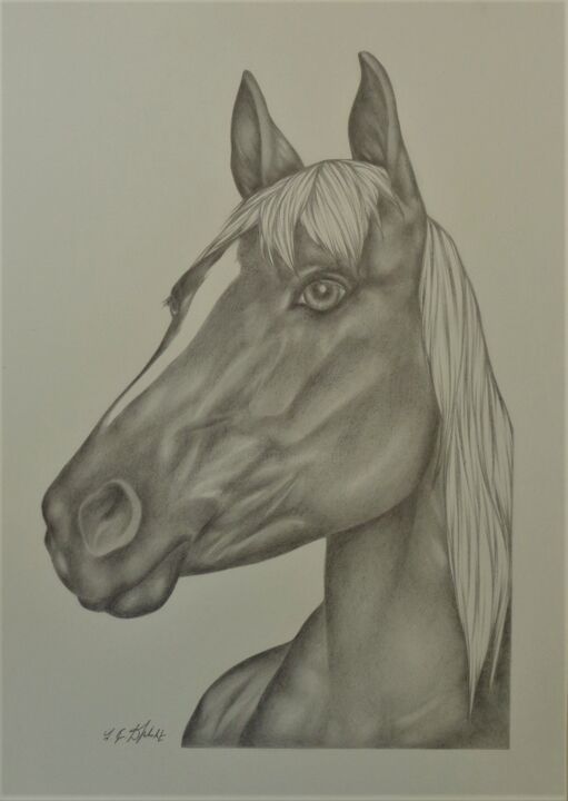 Dessin intitulée "Cheval alezan brûlé…" par Sophie Dumont (heavenly), Œuvre d'art originale, Crayon