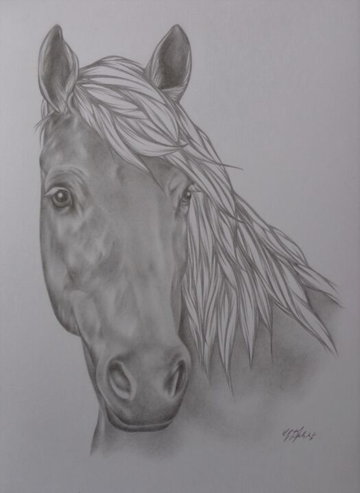 Drawing titled "Cheval" by Sophie Dumont (heavenly), Original Artwork, Graphite