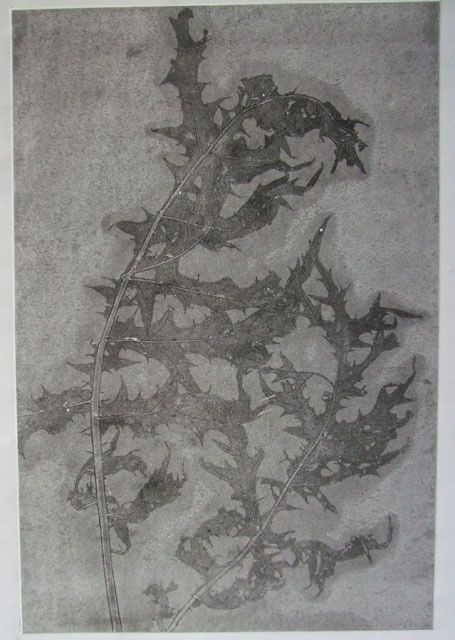 Pintura intitulada "Acanthus Ghost" por Sophie Cordery, Obras de arte originais