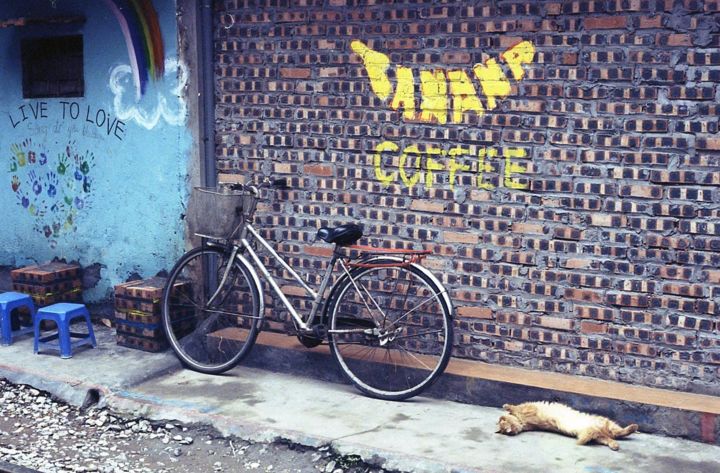 Photographie intitulée "Vietnam Cat" par Sophie Renault, Œuvre d'art originale, Photographie argentique