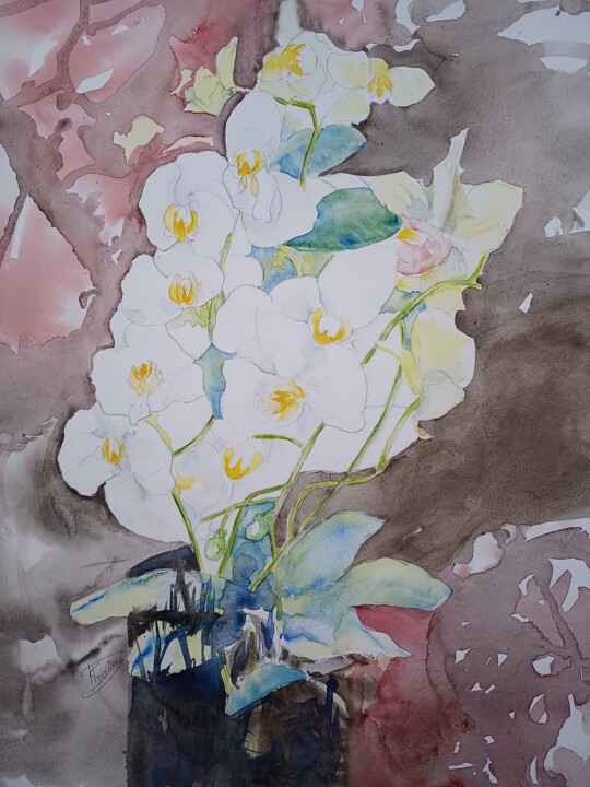 Painting titled "Orchidées blanches" by Thérèse Soriano, Original Artwork, Watercolor
