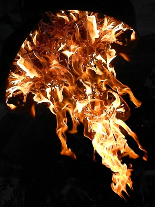 Photography titled "jellyfish-of-fire" by Sorin Niculae Lazar, Original Artwork