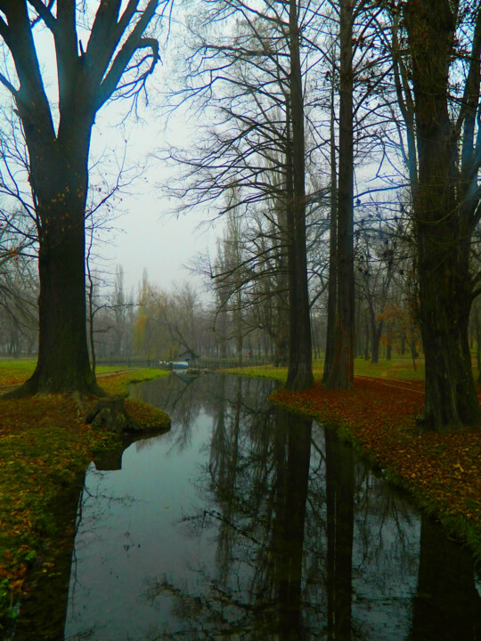 Photography titled "In-the-park" by Sorin Niculae Lazar, Original Artwork