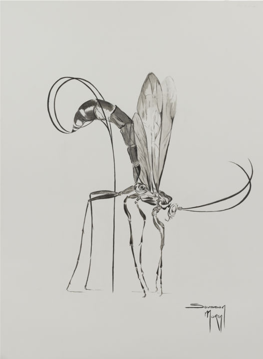 Desenho intitulada "Moustique" por Soussan-Morin, Obras de arte originais