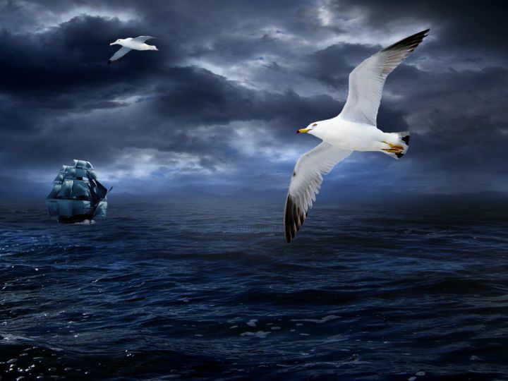 Digitale Kunst getiteld "Seagull over the oc…" door Radiy Bohem, Origineel Kunstwerk, Digitaal Schilderwerk