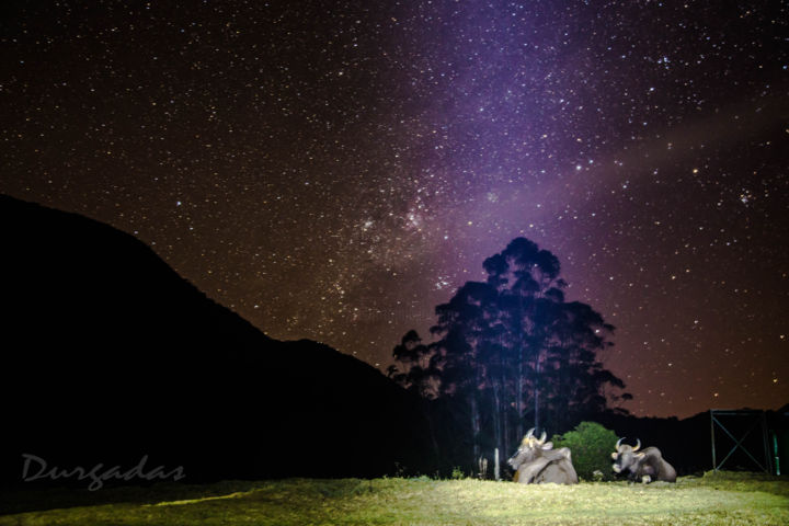 Фотография под названием "Starry Night" - Durgadas, Подлинное произведение искусства