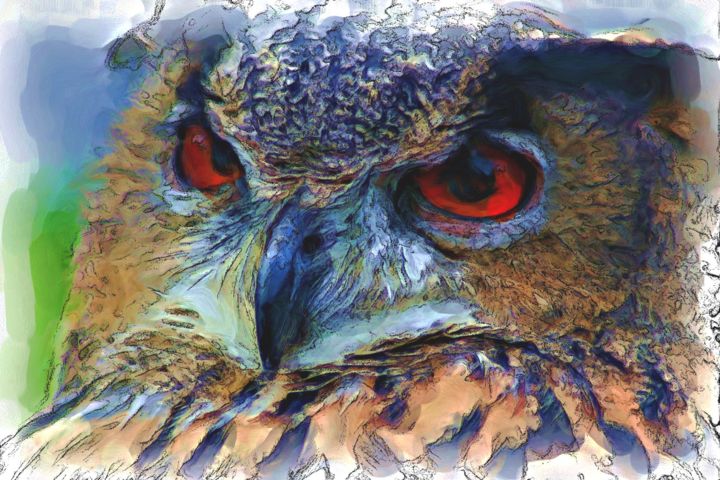 Arts numériques intitulée "the-owl.jpg" par Joshua Bindseil, Œuvre d'art originale, Peinture numérique