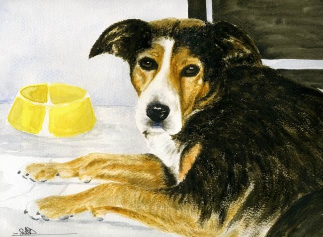 Peinture intitulée "Un chien" par Saïd Serge Berkane, Œuvre d'art originale