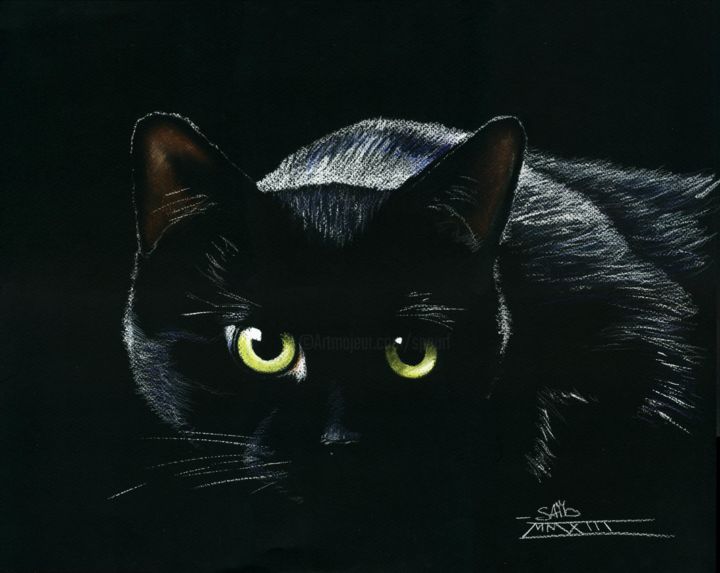 Pittura intitolato "Le chat noir" da Saïd Serge Berkane, Opera d'arte originale