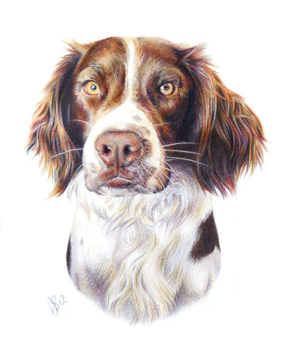 Dibujo titulada "dog-pet-portrait-3.…" por Anna Shipstone, Obra de arte original, Otro