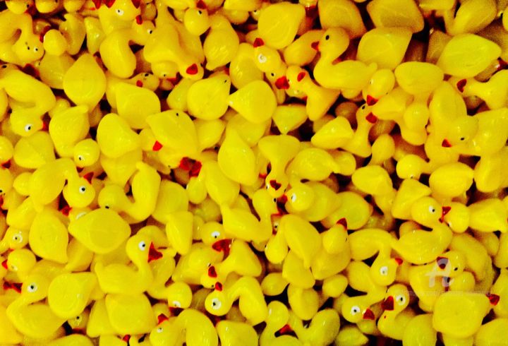 Photographie intitulée "Ducks" par Stanislas Dabrowicz, Œuvre d'art originale, Photographie numérique