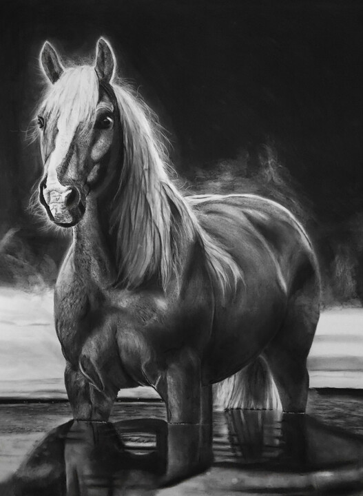 Dibujo titulada "The Horse Charcoal" por Steeven Shaw, Obra de arte original, Carbón
