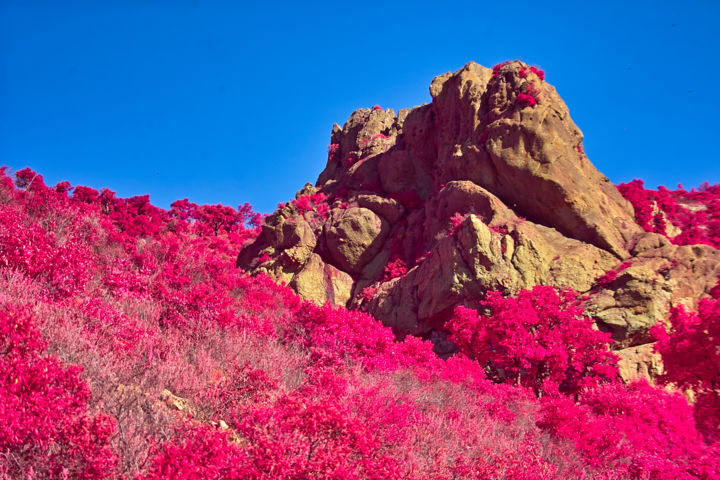 Photographie intitulée "Pink Stone" par Steevens Hill, Œuvre d'art originale