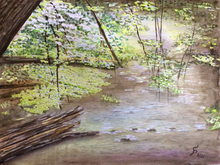 Painting titled "Müritz, im Tal der…" by Stefan Dhein, Original Artwork, Watercolor