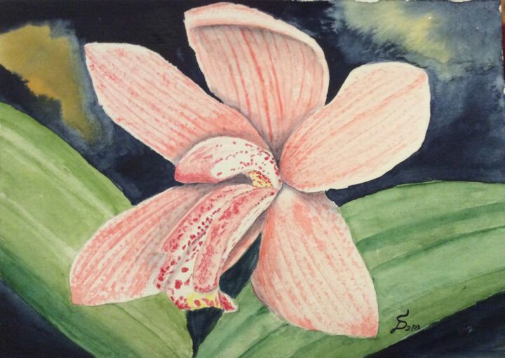 Malerei mit dem Titel "Orchidee" von Stefan Dhein, Original-Kunstwerk, Aquarell