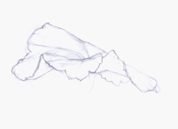 Dessin intitulée "A leaf of a pelargo…" par Stefan Fransson, Œuvre d'art originale, Crayon
