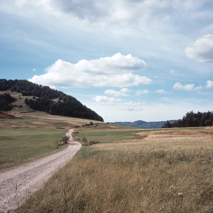 Photographie intitulée "Road" par Stefana Savic, Œuvre d'art originale, Photographie argentique