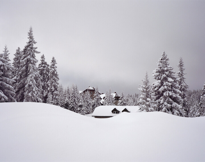 摄影 标题为“Winter Spell” 由Stefana Savic, 原创艺术品, 电影摄影