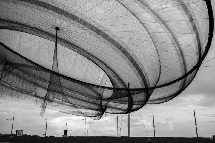 Photography titled "Anemona in Mathosin…" by Stefano Casales, Original Art, Digital Photography