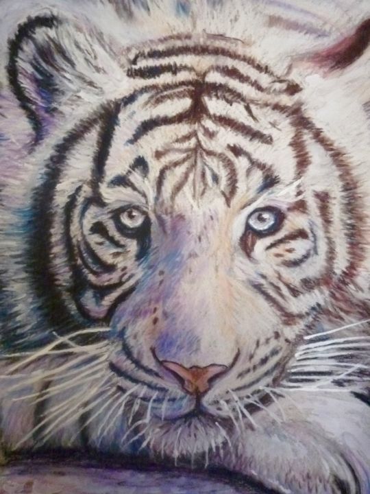 Painting titled "Tigre bianca 2" by Stefano Di Marco, Original Artwork, Pastel