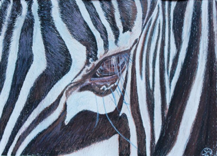 Pintura titulada "Zebra in dettaglio" por Stefano Di Marco, Obra de arte original