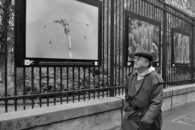 Fotografia intitolato "PARIGI_23" da Stefano Ceretti, Opera d'arte originale