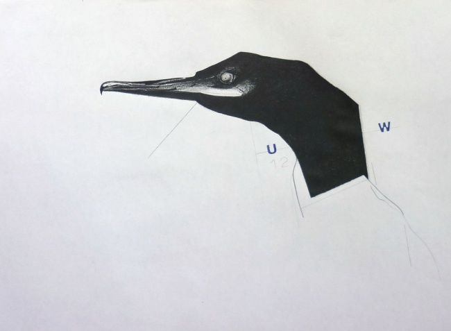 Drawing titled "c:/arwu/birds.12.1" by Swaxu, Original Artwork