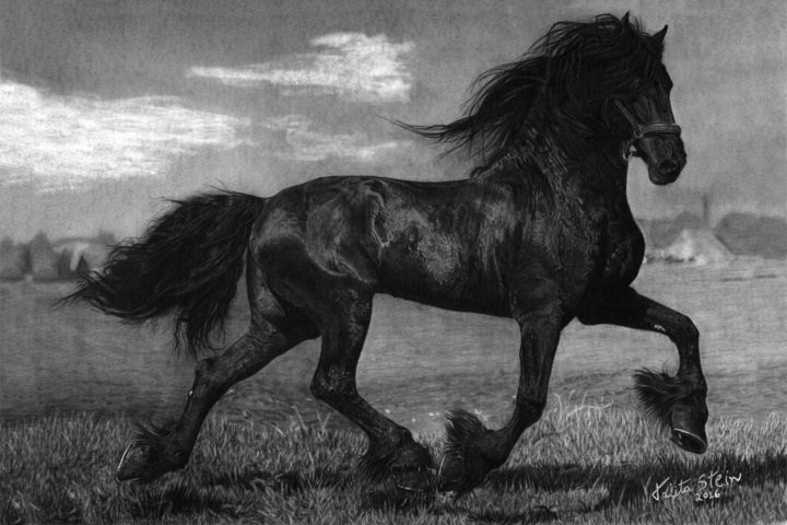 Desenho intitulada "Friesian" por Talita Stein, Obras de arte originais, Grafite