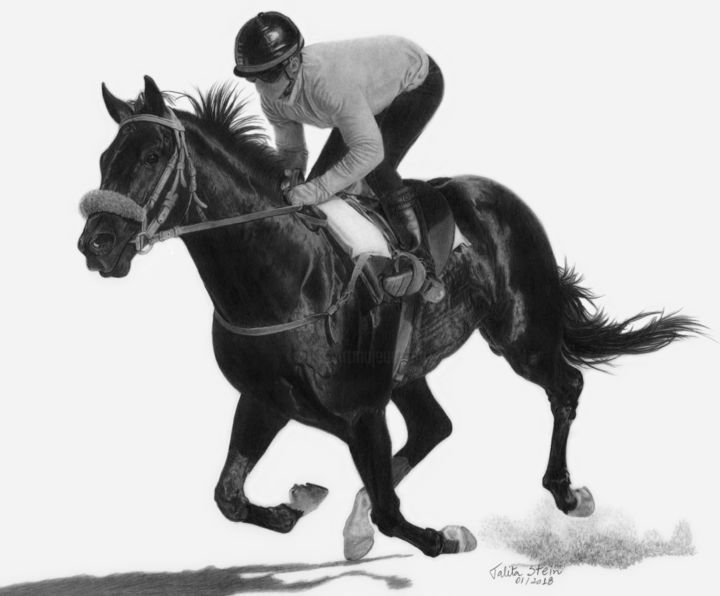 图画 标题为“Cavalo de corrida” 由Talita Stein, 原创艺术品, 石墨
