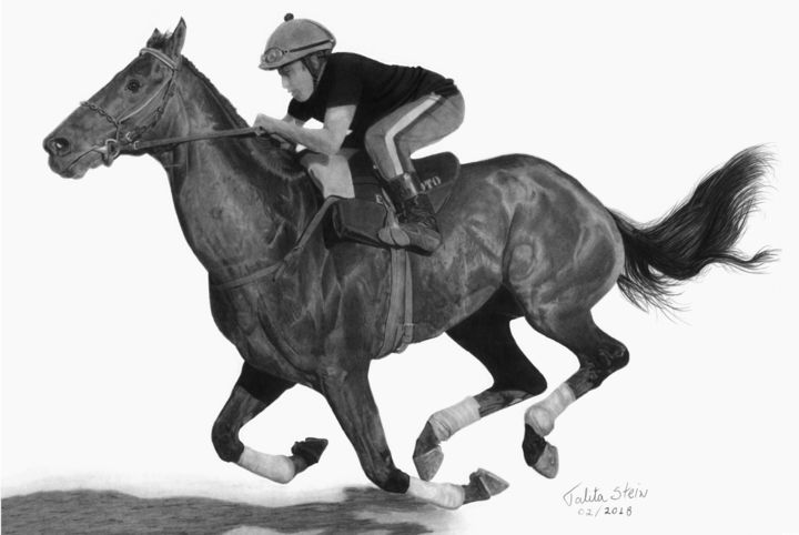 Dessin intitulée "Cavalo de corrida II" par Talita Stein, Œuvre d'art originale, Graphite