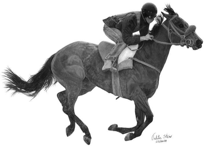 Desenho intitulada "Cavalo de corrida I…" por Talita Stein, Obras de arte originais, Grafite