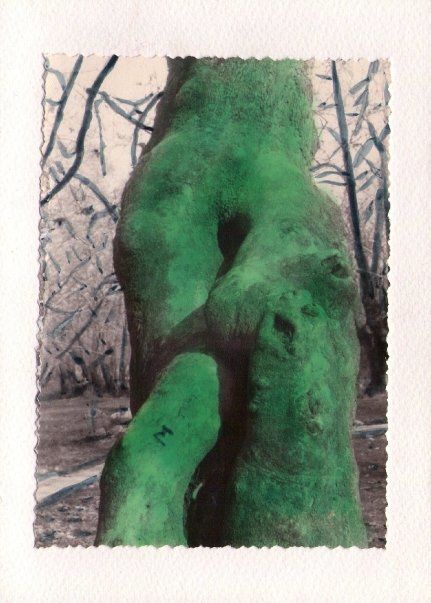 Photography titled "GREEN BODY" by Stella Ambartzi, Original Artwork