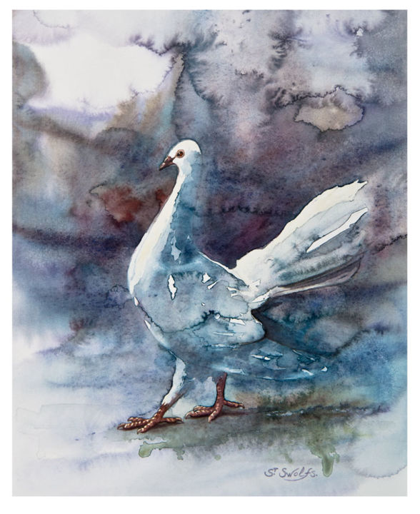 Peinture intitulée "Colombe" par Stéphan Swolfs, Œuvre d'art originale, Aquarelle