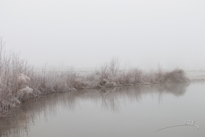 Photographie intitulée "Les berges de l'éta…" par Stéphane Etienne, Œuvre d'art originale, Photographie numérique