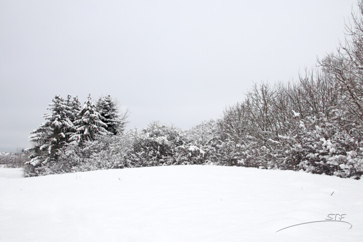 Фотография под названием "Quand la neige reco…" - Stéphane Etienne, Подлинное произведение искусства, Цифровая фотография