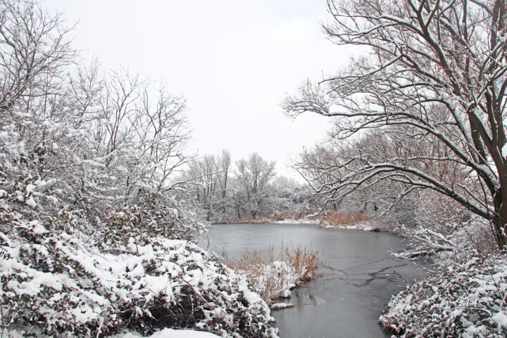 Photography titled "Quand la neige reco…" by Stéphane Etienne, Original Artwork, Digital Photography