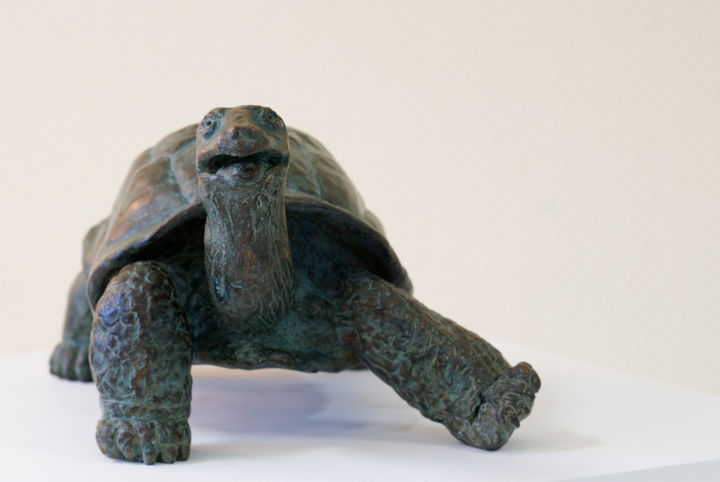 Sculpture titled "tortue terrestre -…" by Stéphane Goarnisson, Original Artwork, Bronze
