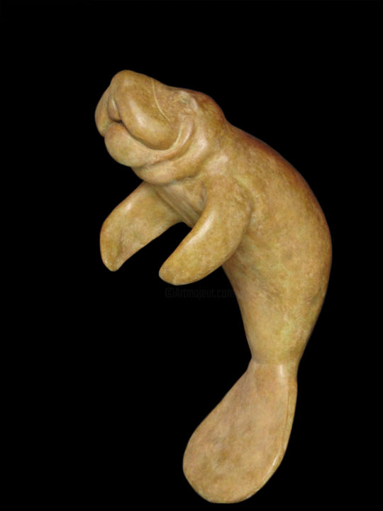 Sculpture intitulée "lamantin - bronze1/8" par Stéphane Goarnisson, Œuvre d'art originale,