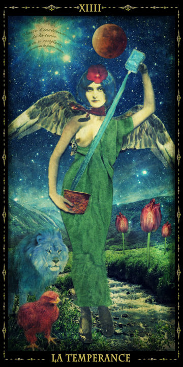Digital Arts titled "Major Arcana XIII:…" by Stéphanie Cousin, Original Artwork, Collages
