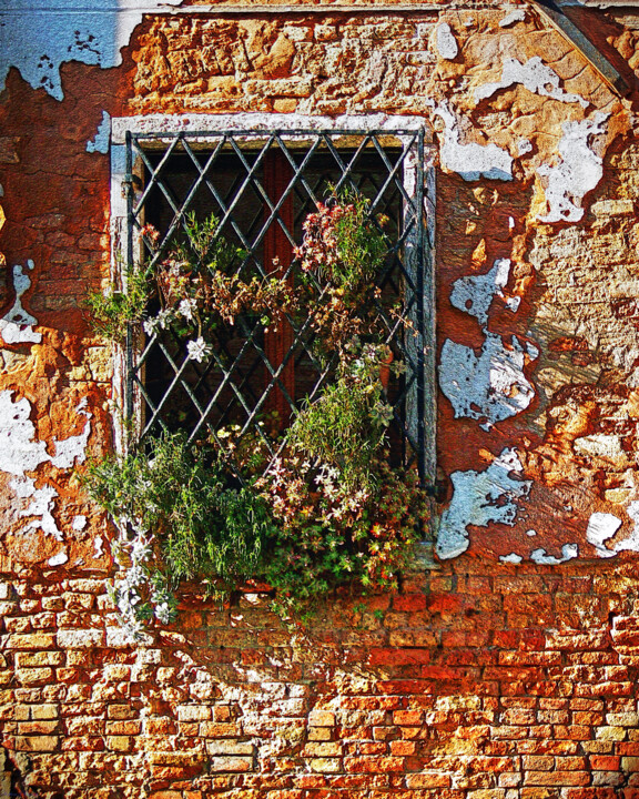 Digital Arts titled "VENICE WINDOW" by Stephen Conroy, Original Artwork, Digital Photography