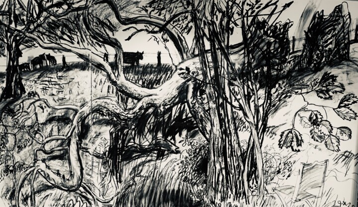 Dibujo titulada "Fallen Ash 3" por Stephen West, Obra de arte original, Carbón