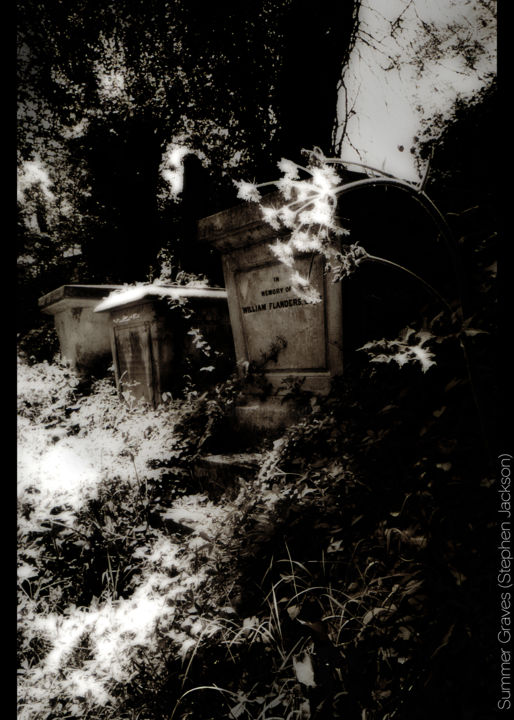 Фотография под названием "Summer Graves" - Stephen Jackson, Подлинное произведение искусства
