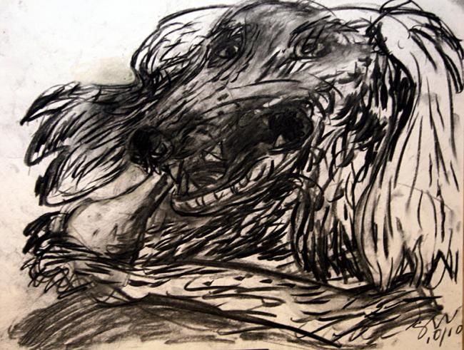 Drawing titled "Dog and Bone" by Stephen West, Original Artwork, Other