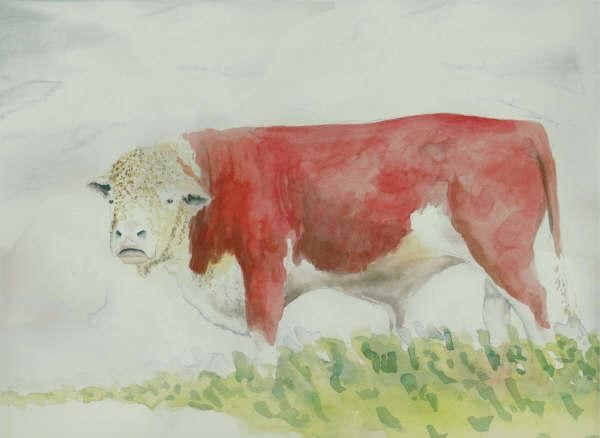 Painting titled "Hereford Bull by St…" by Steven Hawke, Original Art,